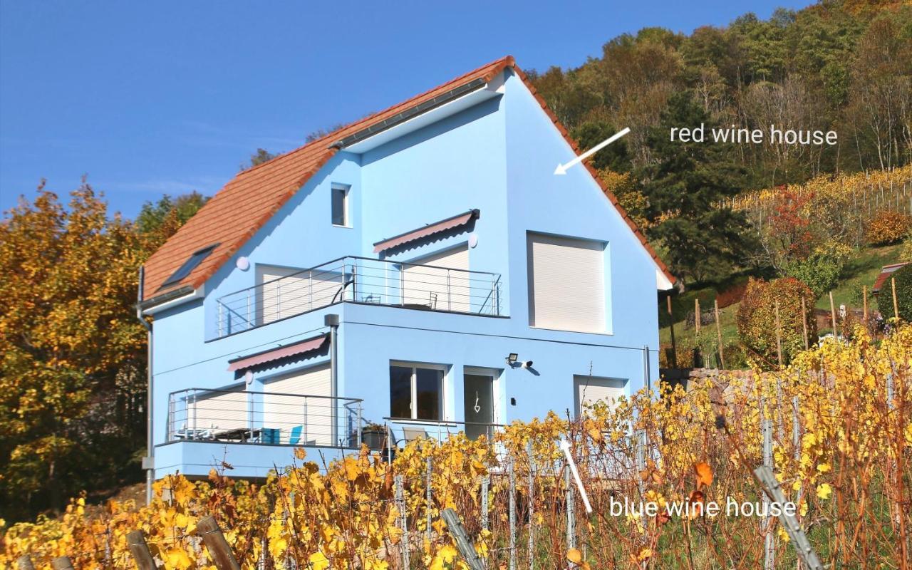 ReichsfeldJanea Big Blue House公寓 外观 照片